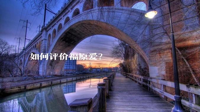 如何评价福原爱？